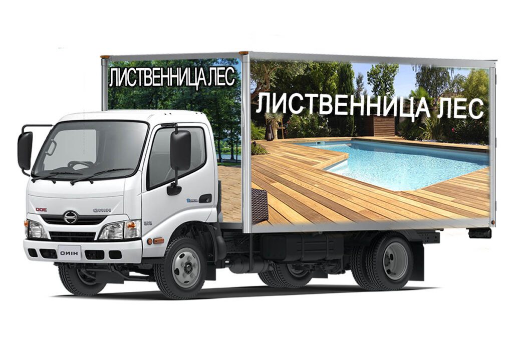Доставка-лиственница лес